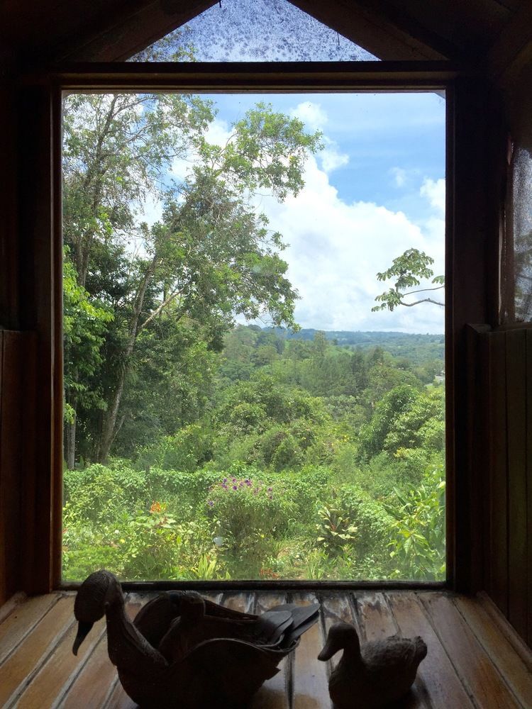 Chalet Nicholas Bed&Breakfast Nuevo Arenal Exterior foto